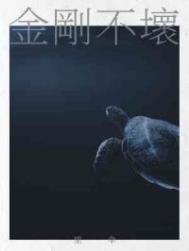 金刚不坏迅雷下载无删减